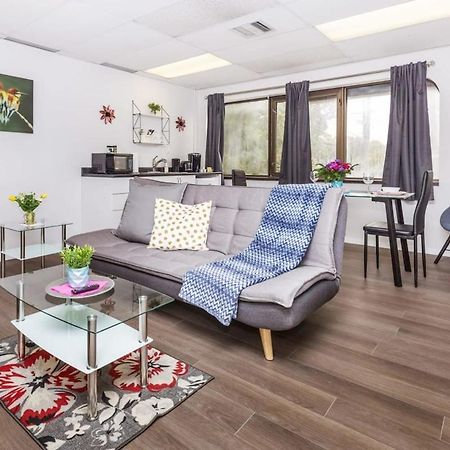Modern 1Br Condo - Chinatown Near Little Italy Оттава Экстерьер фото
