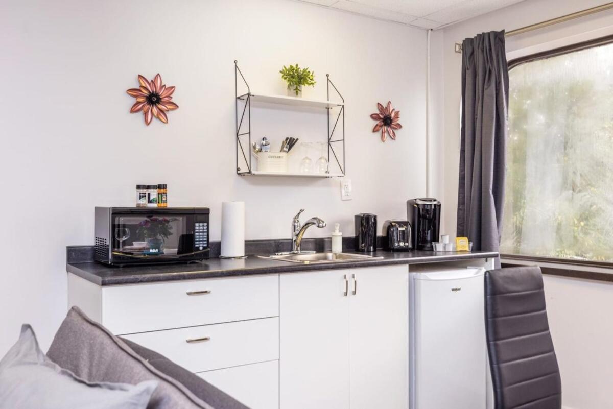 Modern 1Br Condo - Chinatown Near Little Italy Оттава Экстерьер фото